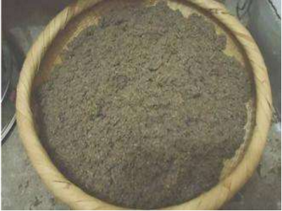 捏压揉掐巧治病