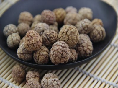 美登木的功效与作用