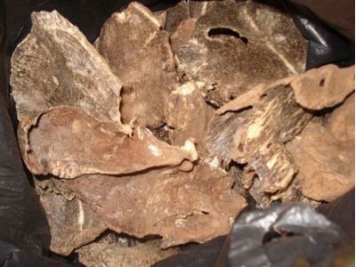 解析养眼明目的中药茶饮
