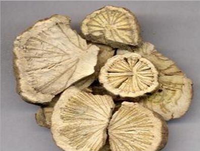 蜘蛛浸酒方瘰疠