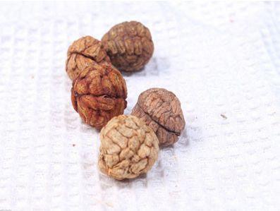 刮痧的手法与注意事项