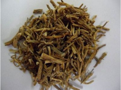 冬凌草或将丰产