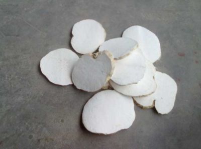 春花胡枝子的功效与作用