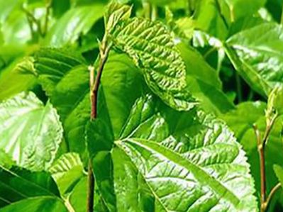太依赖化妆品肌肤易长斑