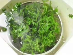 推拿按摩不得随意冠名中医