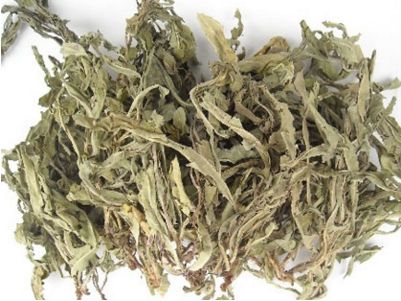 梦溪笔谈里的中医药知识