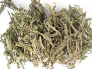 梦溪笔谈里的中医药知识